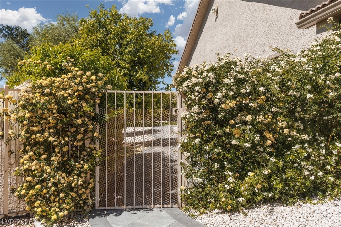 Image of house photo