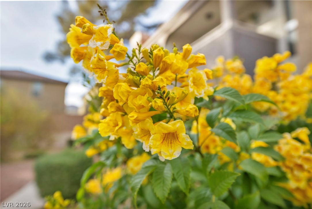 Image of house photo