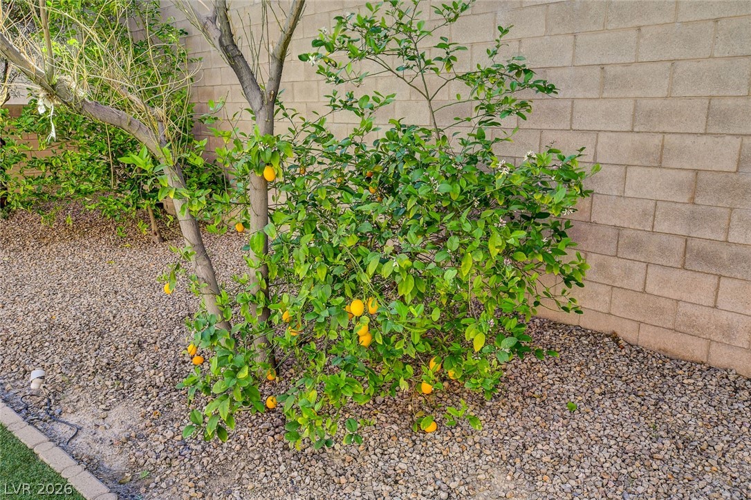 Image of house photo