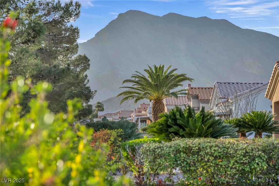 Image of house photo