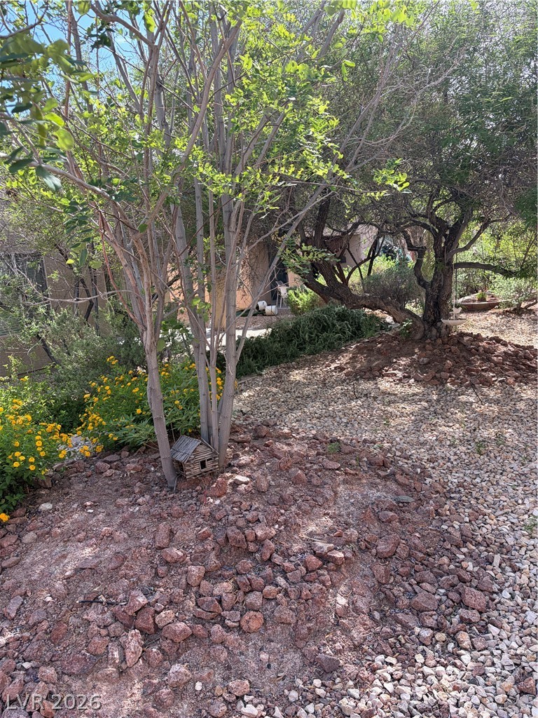 Image of house photo